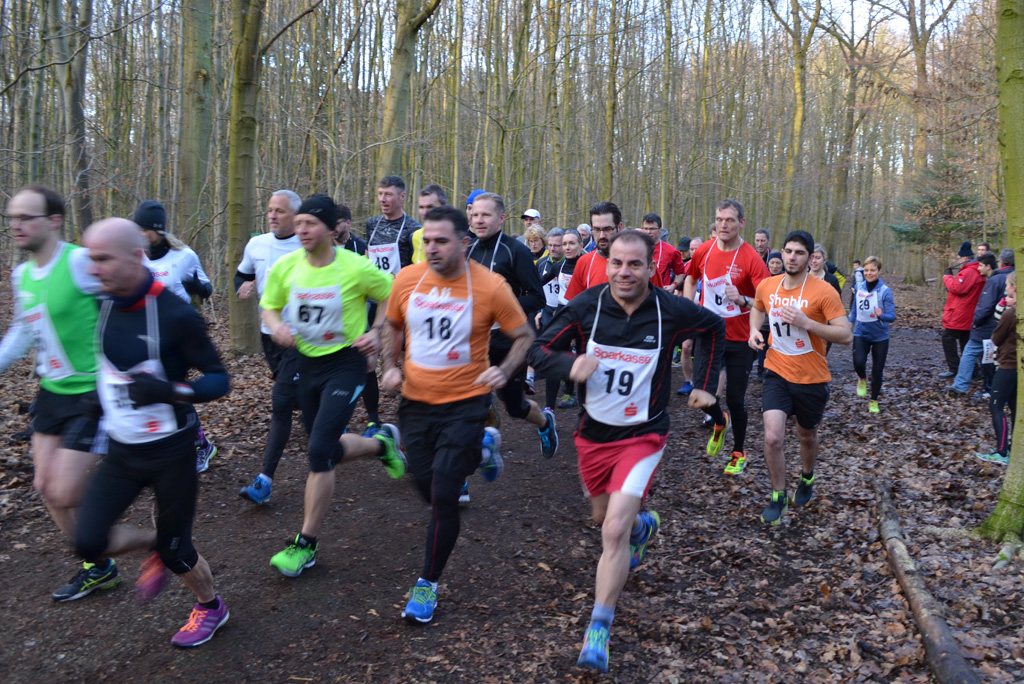 37 Wasserwerkswaldlauf 3